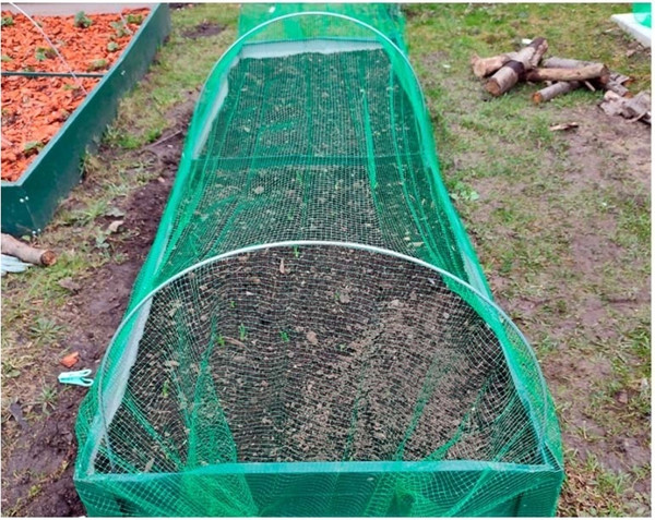 Изображение товара Защитная сетка для растений Протэкт От птиц Клубничка 2x5м / 10159 (лесной зеленый)