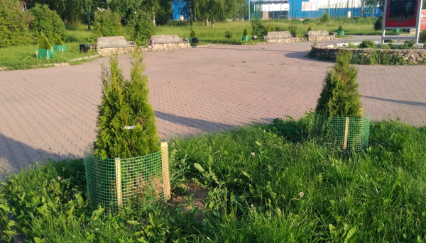 Изображение товара Сетка садовая Протэкт Яркая 20x20 / 9728 (20м, лесной зеленый)