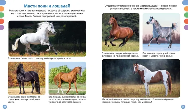 Изображение товара Энциклопедия Махаон Лошади (Гийоре М.-Р. 9785389304369)