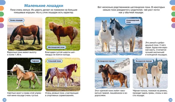 Изображение товара Энциклопедия Махаон Лошади (Гийоре М.-Р. 9785389304369)