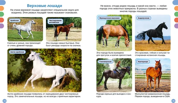 Изображение товара Энциклопедия Махаон Лошади (Гийоре М.-Р. 9785389304369)