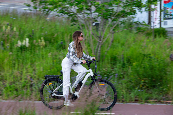 Изображение товара Электровелосипед Alpinebike City / ALPN_J23EU005_ES_M_W (M, серебристый)