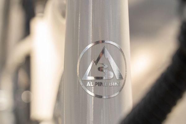 Изображение товара Электровелосипед Alpinebike City / ALPN_J23EU005_ES_M_W (M, серебристый)