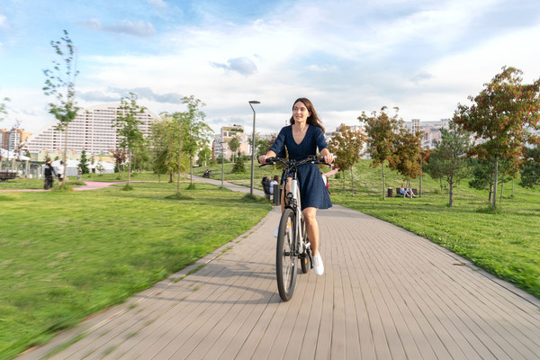 Изображение товара Электровелосипед Alpinebike City / ALPN_J23EU005_ES_M_W (M, серебристый)
