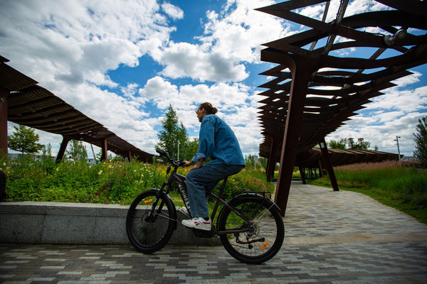 Изображение товара Электровелосипед Alpinebike МТБ / ALPN_J23ES007_EF_M_CH (M, шоколадный)