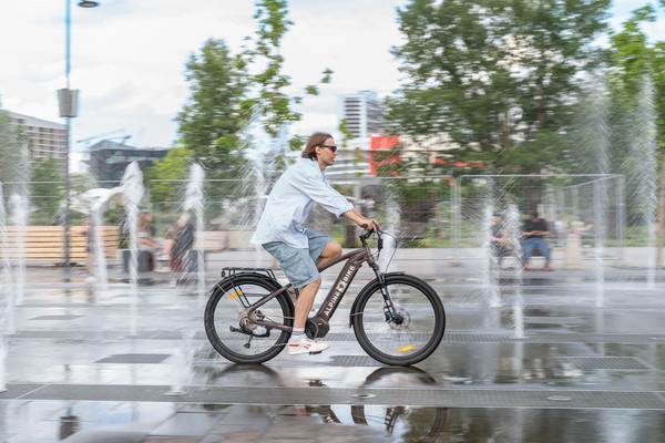 Изображение товара Электровелосипед Alpinebike МТБ / ALPN_J23ES007_EF_M_CH (M, шоколадный)