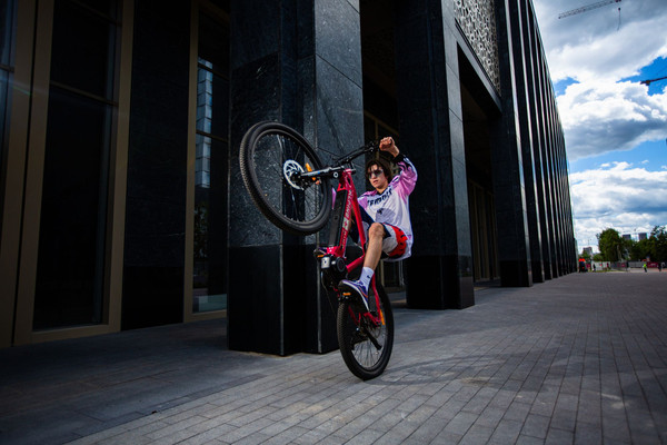 Изображение товара Электровелосипед Alpinebike МТБ / ALPN_J23ES007_E_L_R (L, красный)