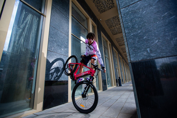Изображение товара Электровелосипед Alpinebike МТБ / ALPN_J23ES007_E_L_R (L, красный)