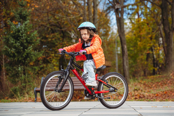 Изображение товара Детский велосипед Alpinebike Pegas 3-20 / TSRD00174600 (рассветный оранжевый, разобранный, в коробке)
