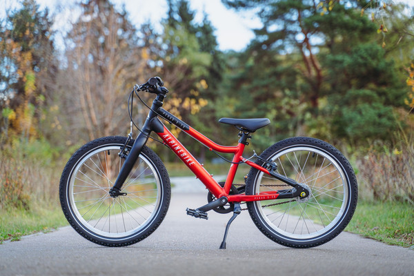 Изображение товара Детский велосипед Alpinebike Pegas 3-20 / TSRD00174600 (рассветный оранжевый, разобранный, в коробке)