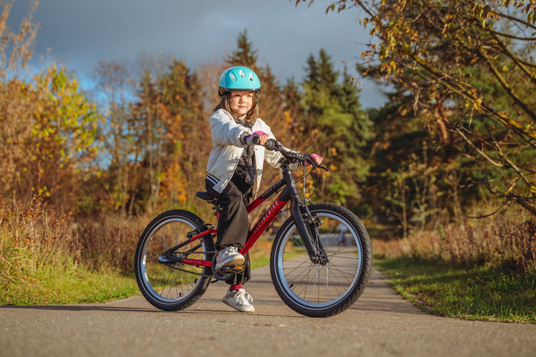 Изображение товара Детский велосипед Alpinebike Pegas 3-20 / TSRD00174600 (рассветный оранжевый, разобранный, в коробке)