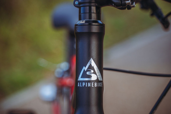 Изображение товара Детский велосипед Alpinebike Pegas 3-20 / TSRD00174600 (рассветный оранжевый, разобранный, в коробке)