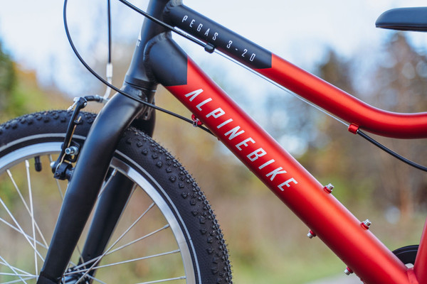Изображение товара Детский велосипед Alpinebike Pegas 3-20 / TSRD00174600 (рассветный оранжевый, разобранный, в коробке)