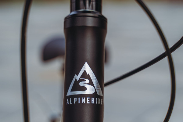 Изображение товара Детский велосипед Alpinebike Pegas 3-20 / TSRD00174601 (фиолетовый космос)