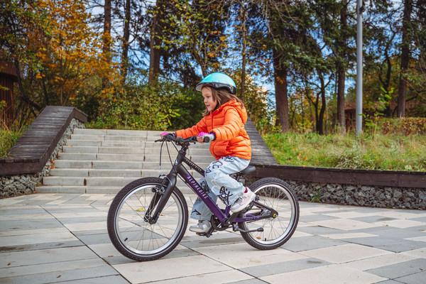 Изображение товара Детский велосипед Alpinebike Pegas 3-20 / TSRD00174601 (фиолетовый космос)