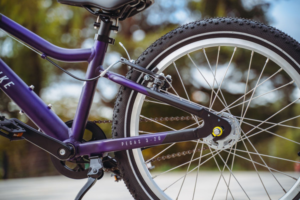 Изображение товара Детский велосипед Alpinebike Pegas 3-20 / TSRD00174601 (фиолетовый космос)