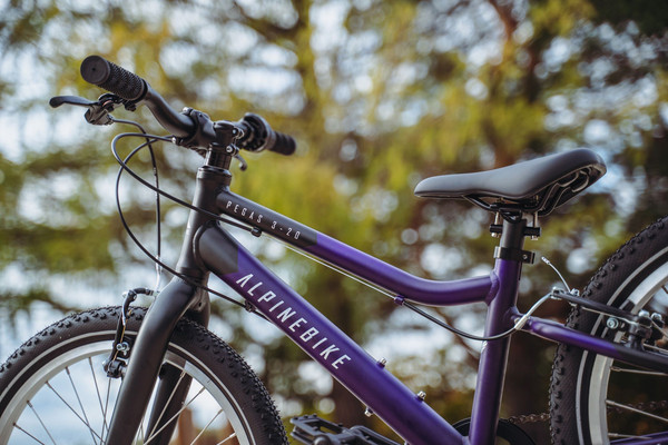 Изображение товара Детский велосипед Alpinebike Pegas 3-20 / TSRD00174601 (фиолетовый космос)