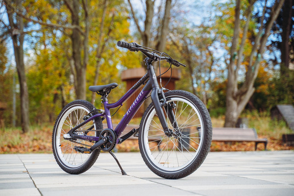 Изображение товара Детский велосипед Alpinebike Pegas 3-20 / TSRD00174601 (фиолетовый космос)