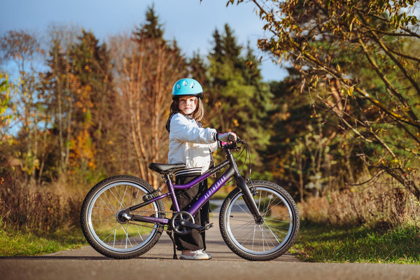 Изображение товара Детский велосипед Alpinebike Pegas 3-20 / TSRD00174601 (фиолетовый космос)