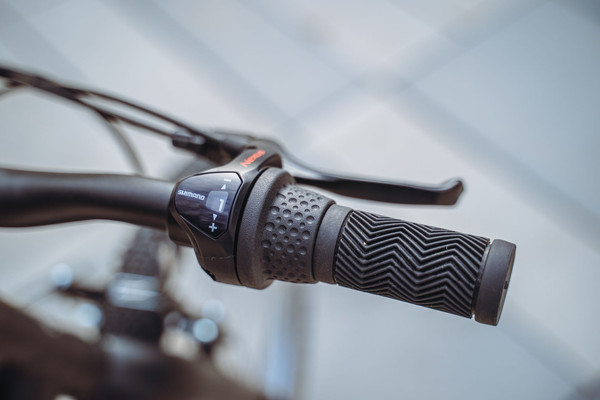 Изображение товара Детский велосипед Alpinebike Pegas 3-20 / TSRD00174601 (фиолетовый космос)