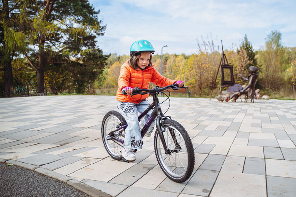 Изображение товара Детский велосипед Alpinebike Pegas 3-20 / TSRD00174601 (фиолетовый космос)