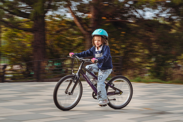 Изображение товара Детский велосипед Alpinebike Pegas 3-20 / TSRD00174601 (фиолетовый космос)