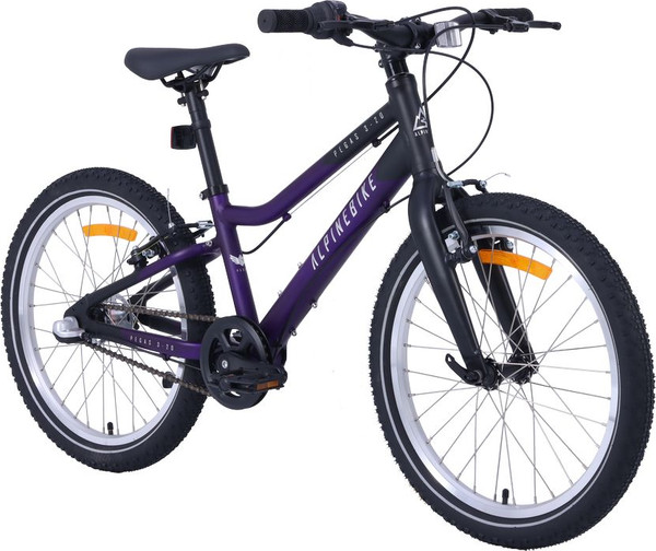 Изображение товара Детский велосипед Alpinebike Pegas 3-20 / TSRD00174601 (фиолетовый космос)