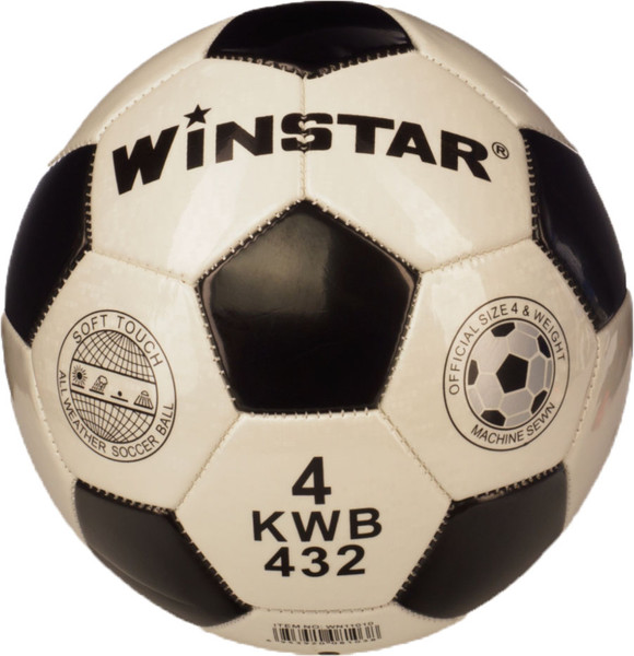 Изображение товара Футбольный мяч Winstar WN11010