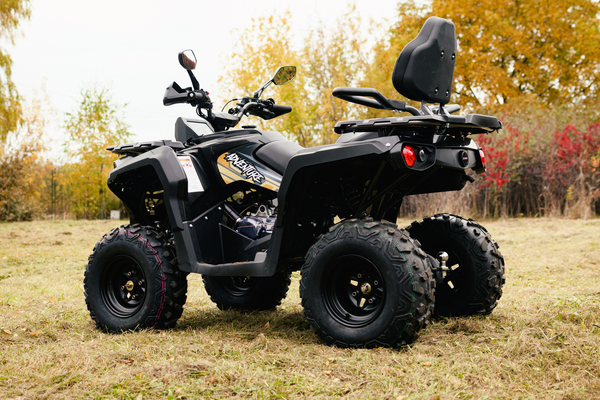 Изображение товара Квадроцикл AVM Adventure 250 (черный)