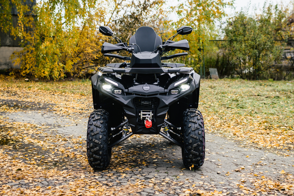 Изображение товара Квадроцикл AVM Adventure 250 (черный)