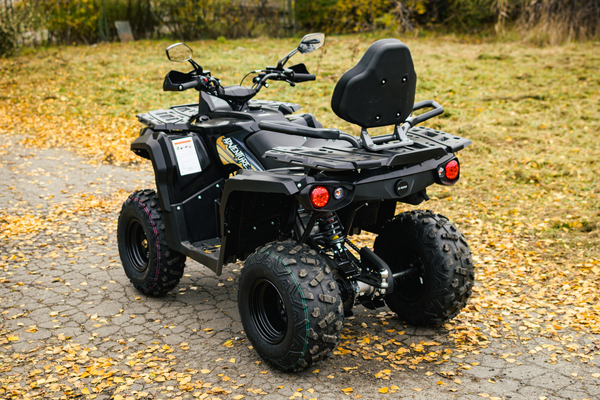 Изображение товара Квадроцикл AVM Adventure 250 (черный)