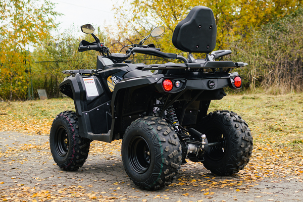 Изображение товара Квадроцикл AVM Adventure 250 (черный)