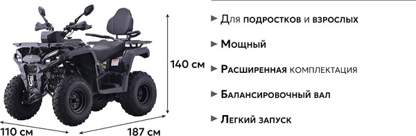 Изображение товара Квадроцикл AVM Adventure 250 (черный)