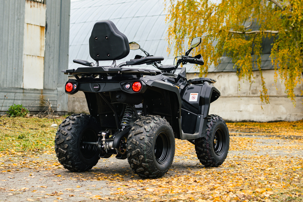 Изображение товара Квадроцикл AVM Adventure 250 (черный)