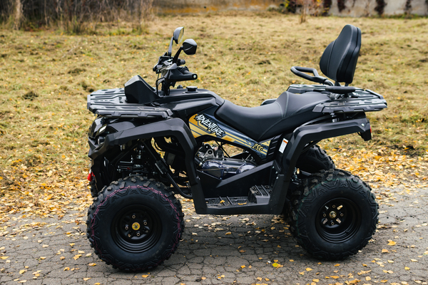 Изображение товара Квадроцикл AVM Adventure 250 (черный)