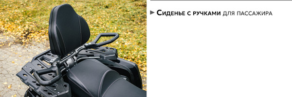 Изображение товара Квадроцикл AVM Adventure 250 (черный)