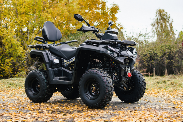 Изображение товара Квадроцикл AVM Adventure 250 (черный)