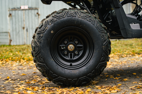 Изображение товара Квадроцикл AVM Adventure 250 (черный)