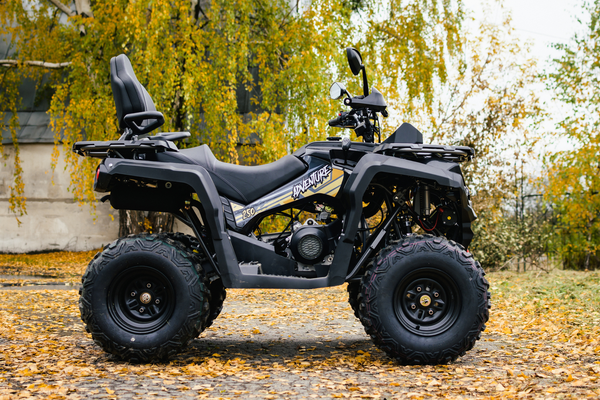 Изображение товара Квадроцикл AVM Adventure 250 (черный)