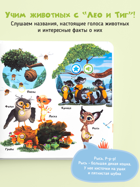 Изображение товара Музыкальная книга BertToys Маленькая Нажималка Учимся с мультяшками / FD153