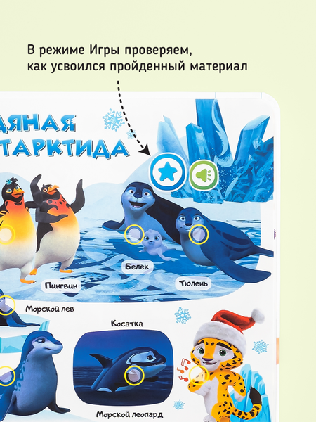 Изображение товара Музыкальная книга BertToys Маленькая Нажималка Учимся с мультяшками / FD153