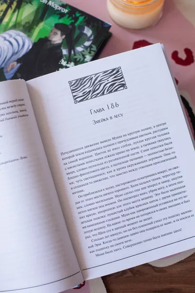 Изображение товара Художественная книга МИФ Злодейский путь!.. (Моргот Эл 9785002505388)