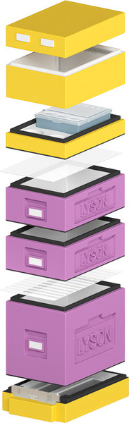 Изображение товара Улей Lyson Дадан На 6 Рамок / WDD20 (фиолетовый/желтый)