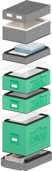 Изображение товара Улей Lyson Дадан На 6 Рамок / WDD29 (зеленый/серый)