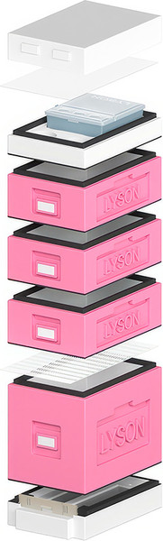 Изображение товара Улей Lyson Дадан На 6 Рамок / WDD03PW (розовый/неокрашенный)