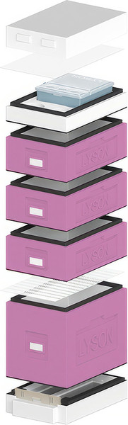 Изображение товара Улей Lyson Дадан На 6 Рамок / WDD03PUW (фиолетовый/неокрашенный)