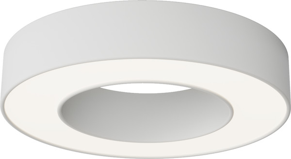 Изображение товара Потолочный светильник Maytoni Ceiling C093CL-24W4K-W