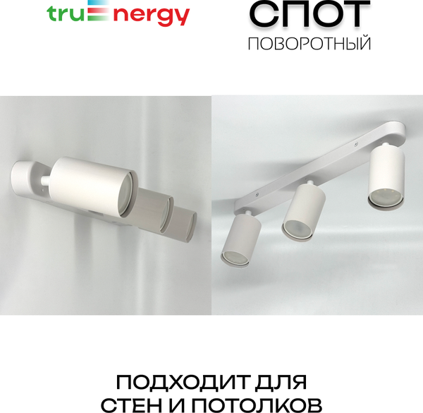 Изображение товара Спот Truenergy 21363 (с лампами General Lighting 661462 3шт)