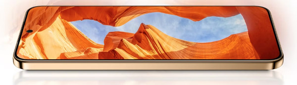 Изображение товара Смартфон Honor X9d 12GB/256GB (терракотовый)