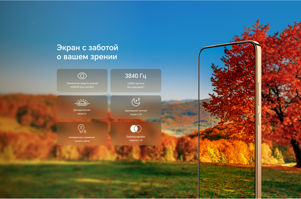 Изображение товара Смартфон Honor X9d 8GB/256GB (графитовый)